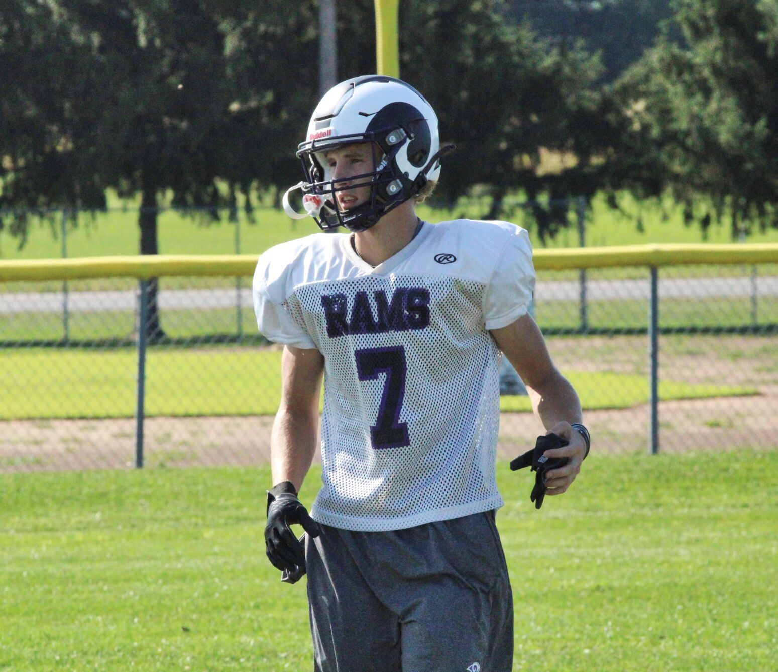 Ty Brachbill, Shelbyville